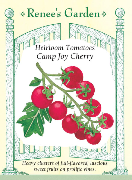 Camp Joy Cherry' Heirloom Tomatoes – Renee's Garden