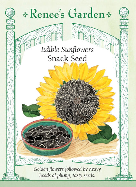 sunflower seeds for planting nearby Snack Seed' Edible Sunflowers – Renee's Garden