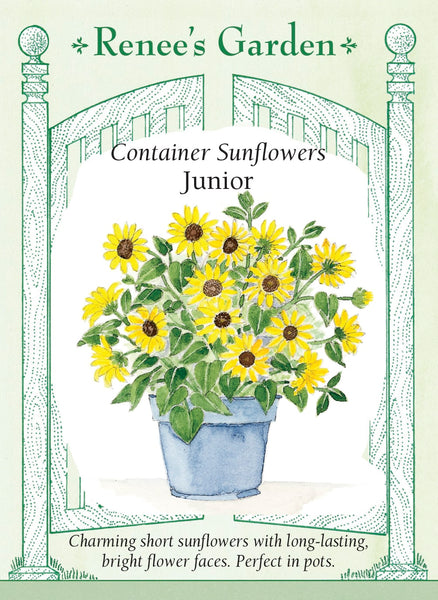 Junior' Container Sunflowers – Renee's Garden