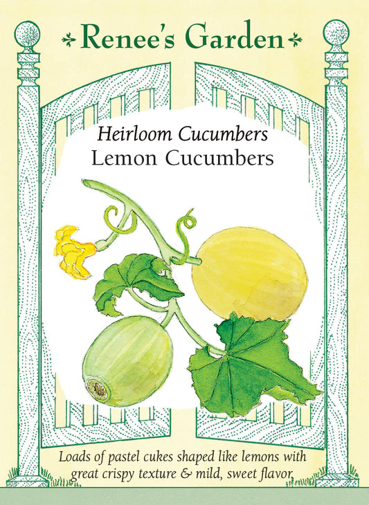 Lemon Cucumbers