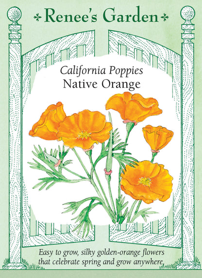 Native Orange