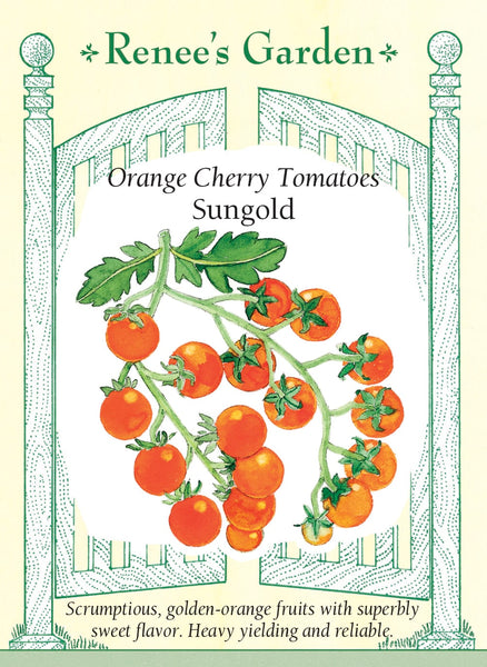 Sungold' Orange Cherry Tomatoes – Renee's Garden
