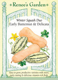 Squash Winter - Early Butternut & Delicata - Winter Squash Duo