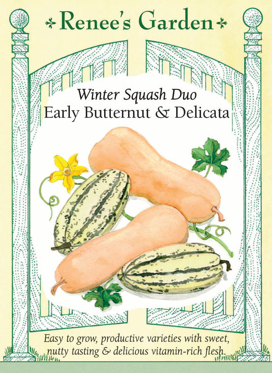 Early Butternut & Delicata