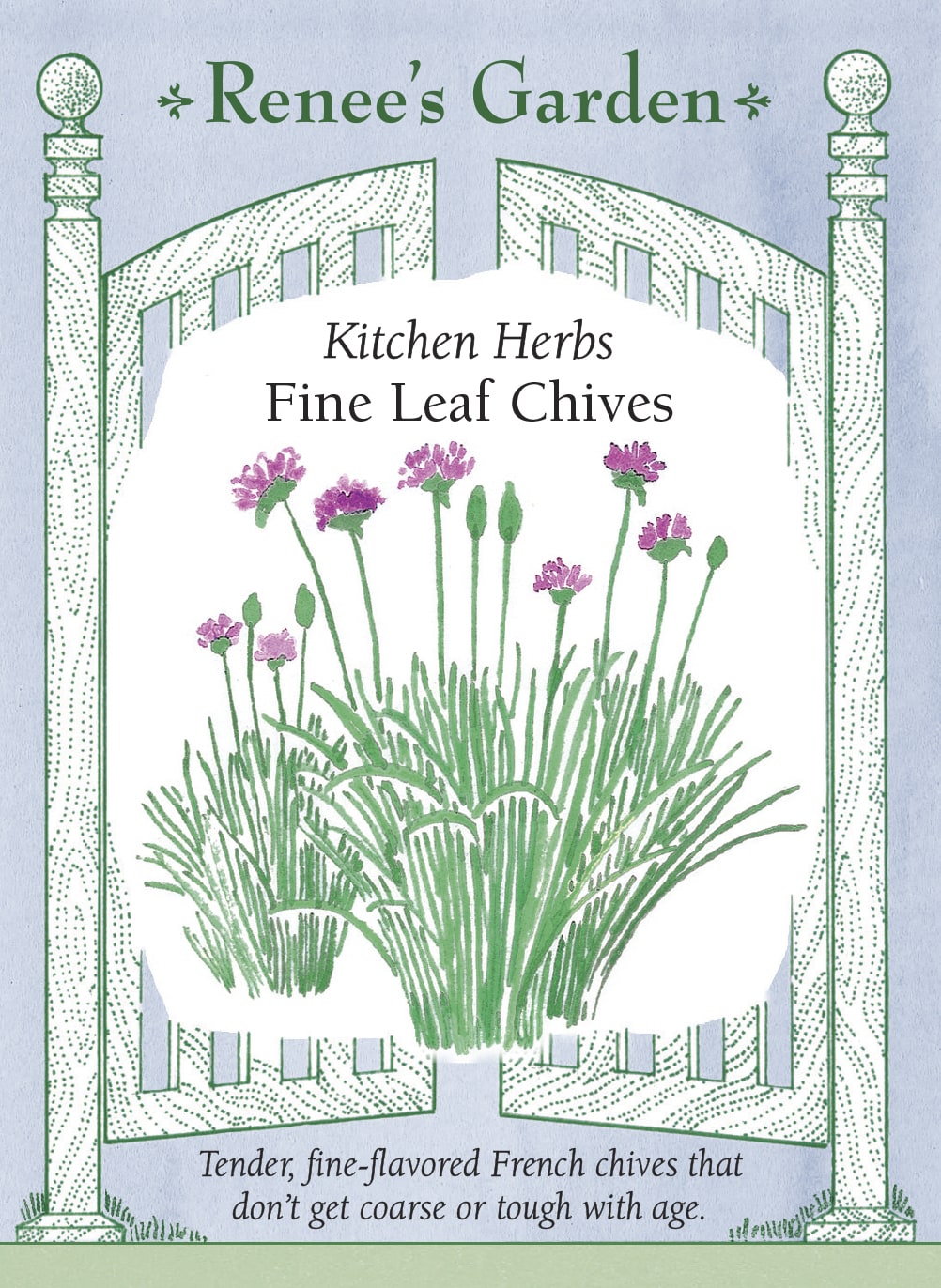Fine Leaf Chives