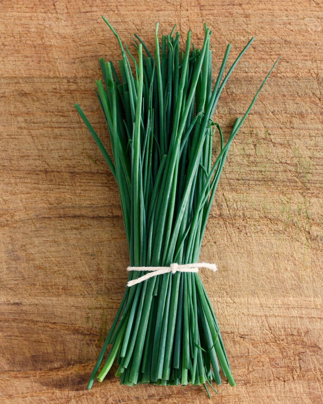 Fine Leaf Chives