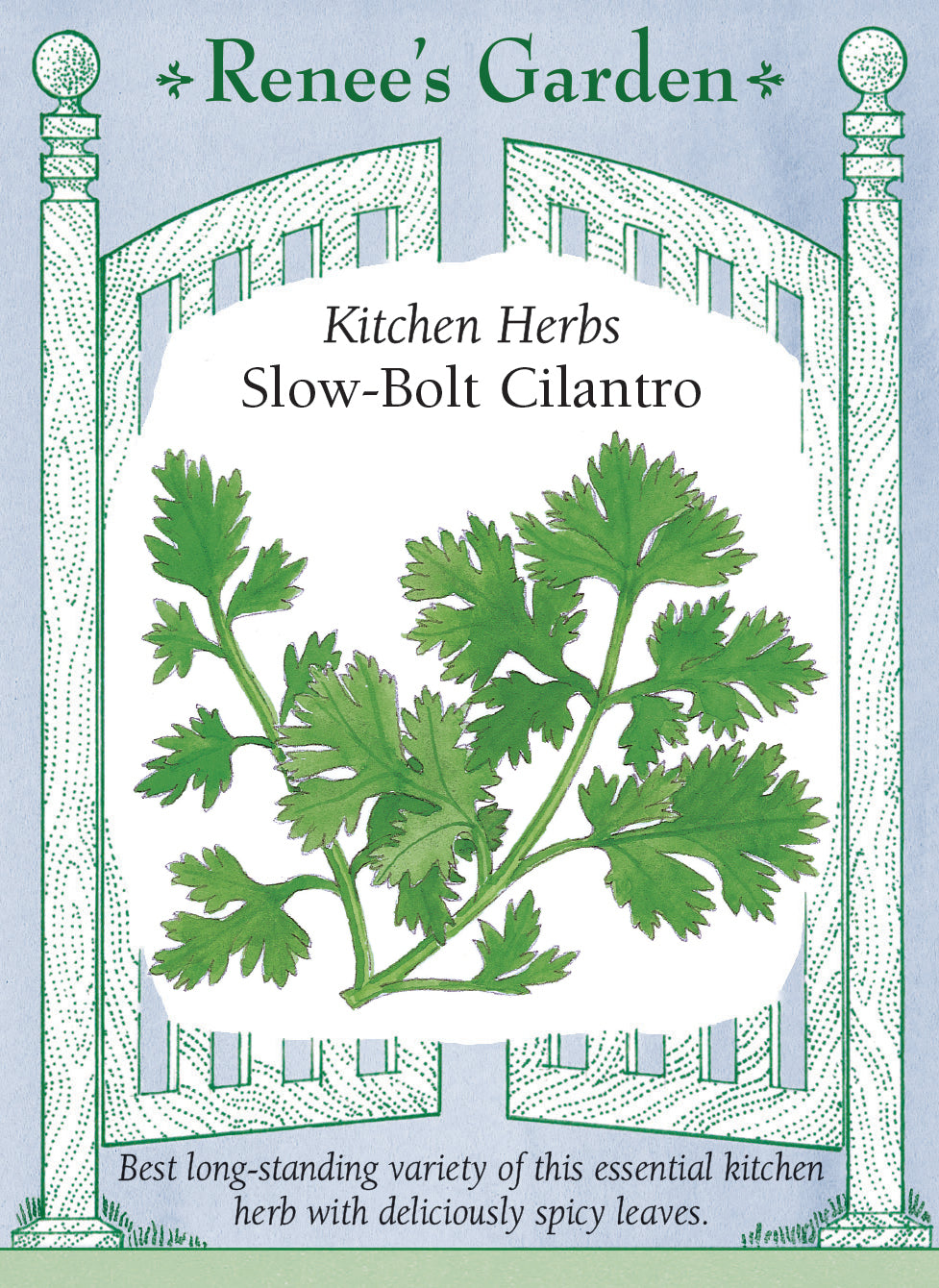 Slow-Bolt Cilantro