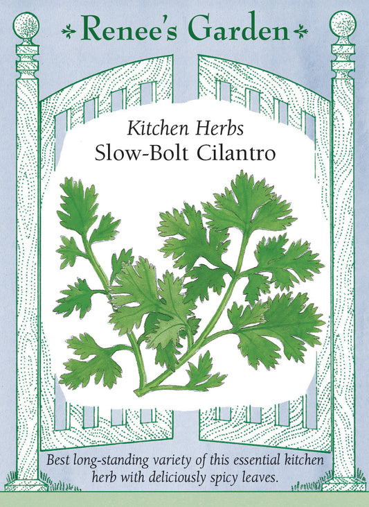 Slow-Bolt Cilantro