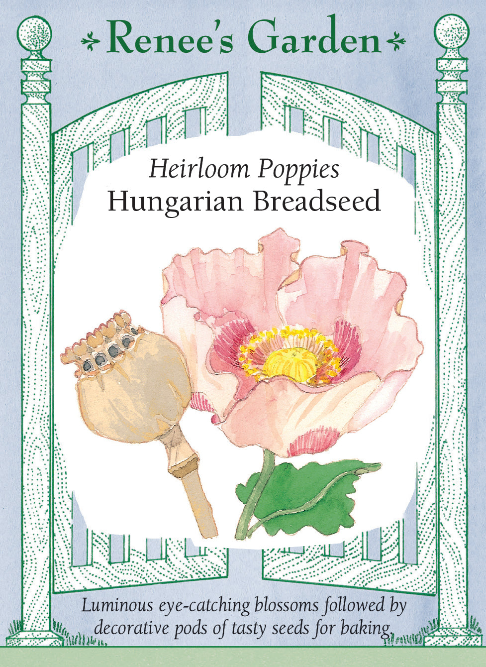 Hungarian Breadseed Poppy