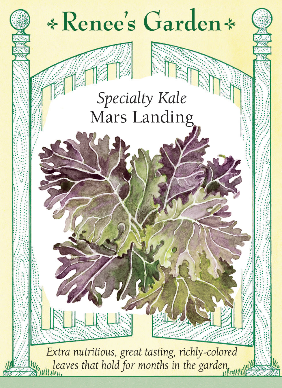Kale – Renee's Garden