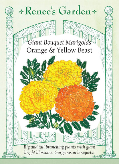big marigold flower seeds 'Orange & Yellow Beast' Giant Bouquet Marigolds