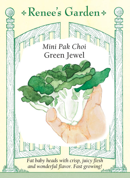 5543_Pak_Choi_GrnJwel2022F_553