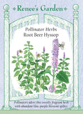 Root Beer Hyssop