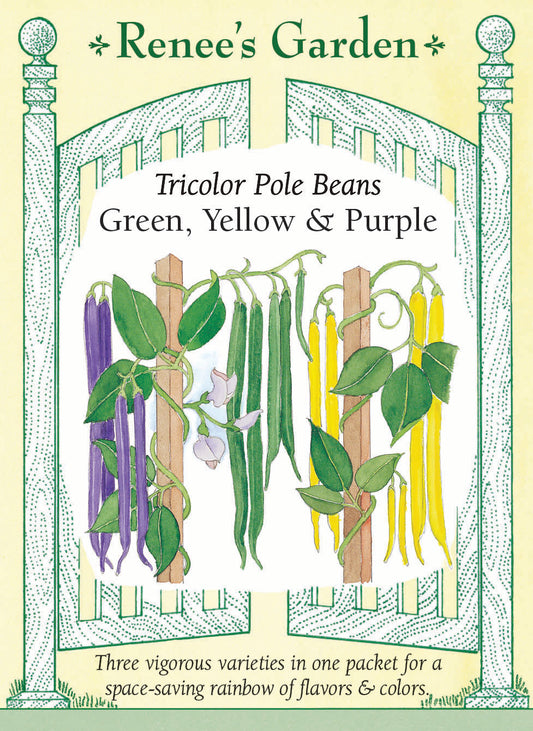 Green, Yellow & Purple