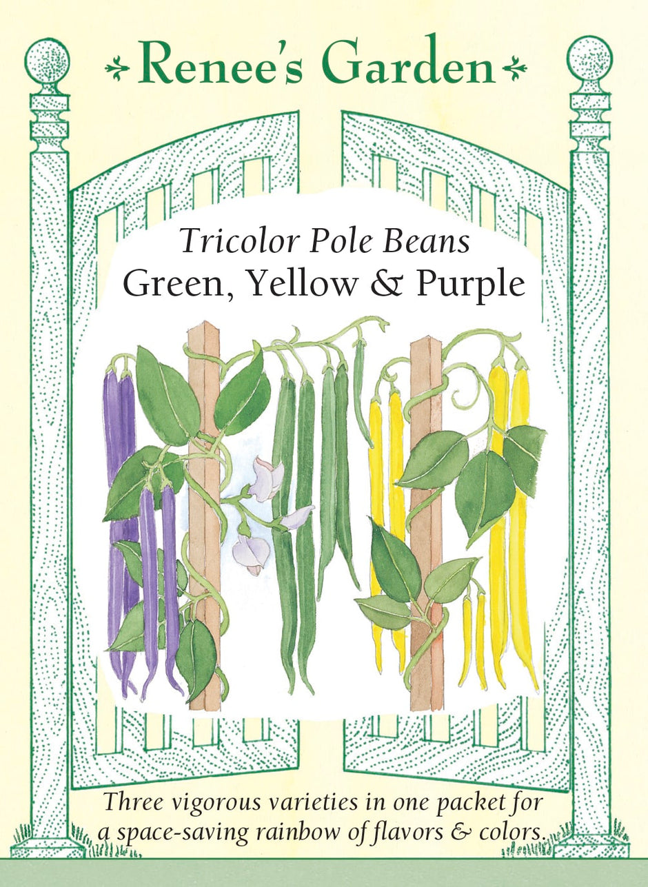 Vegetables tagged "Beans" Renee's Garden