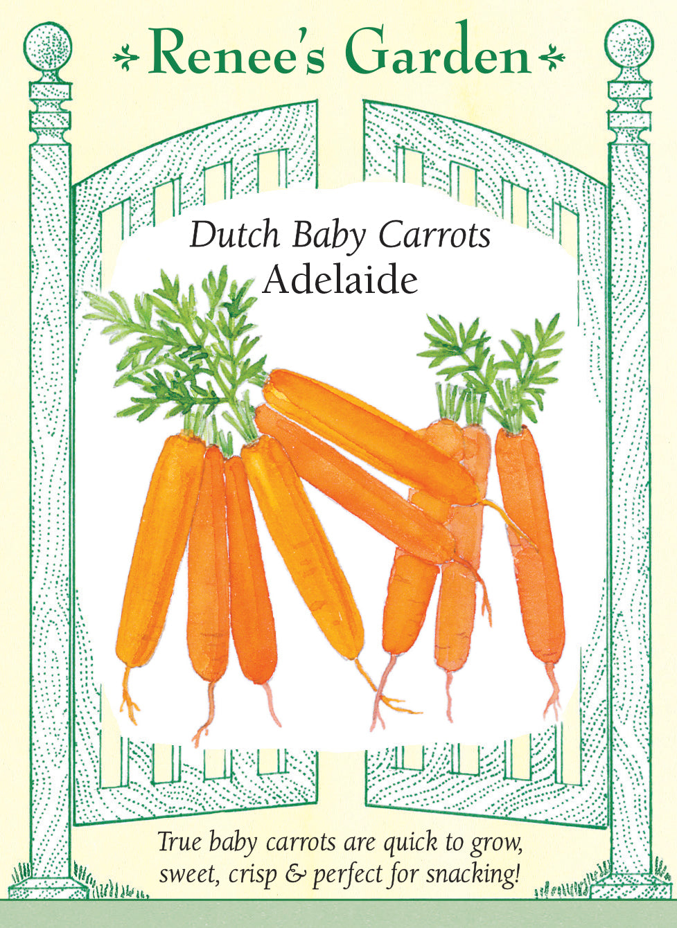 Dutch Baby Carrots - Adelaide