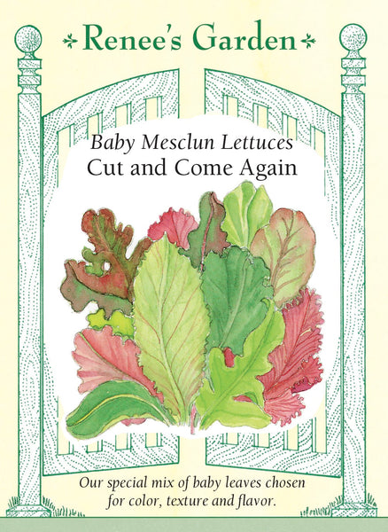 marshalls garden lettuce 'cut and come again' seeds Renee's Garden Baby Mesclun Lettuces Cut and Come Again Seeds