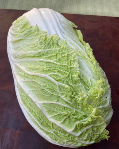 Napa/Chinese Cabbage - Emiko
