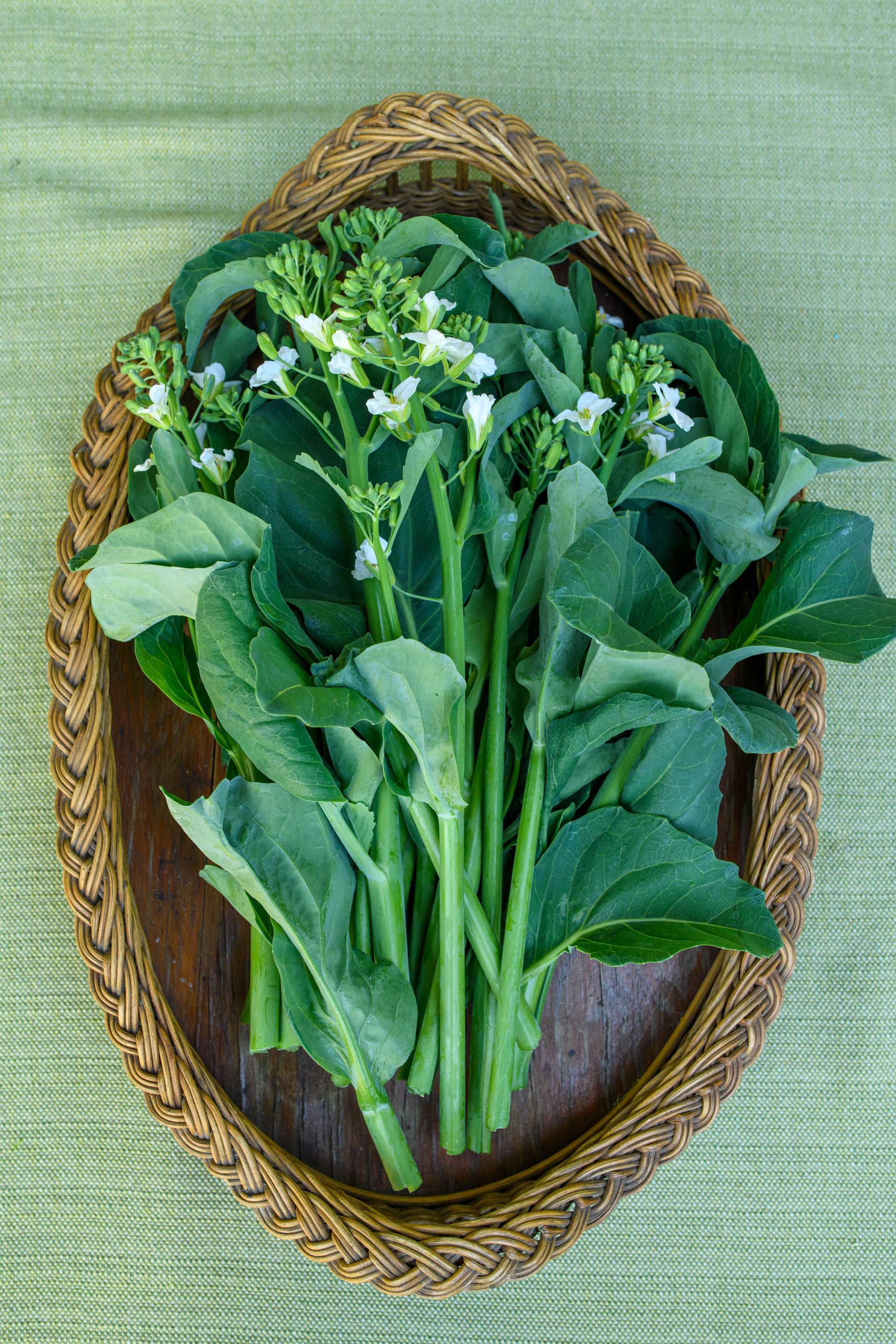 lin lan flower seeds for sale Early Jade' Gai Lan/Chinese Broccoli – Renee's Garden