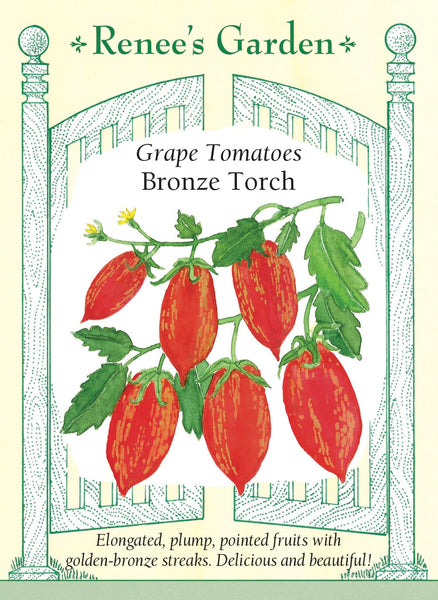 5683_Tomato_BronzTrch2023F-