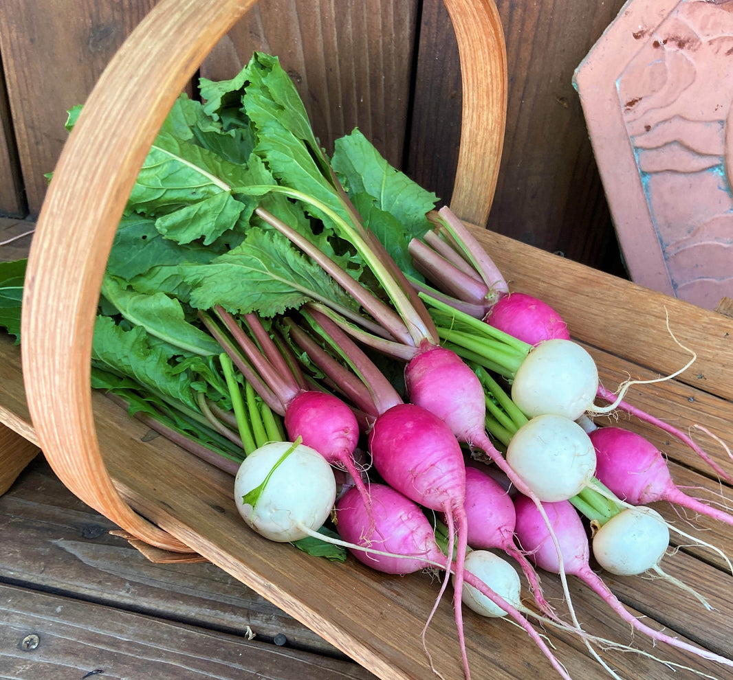 Turnips – Renee's Garden