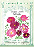 Cosmos - Velouette - Bouquet Cosmos