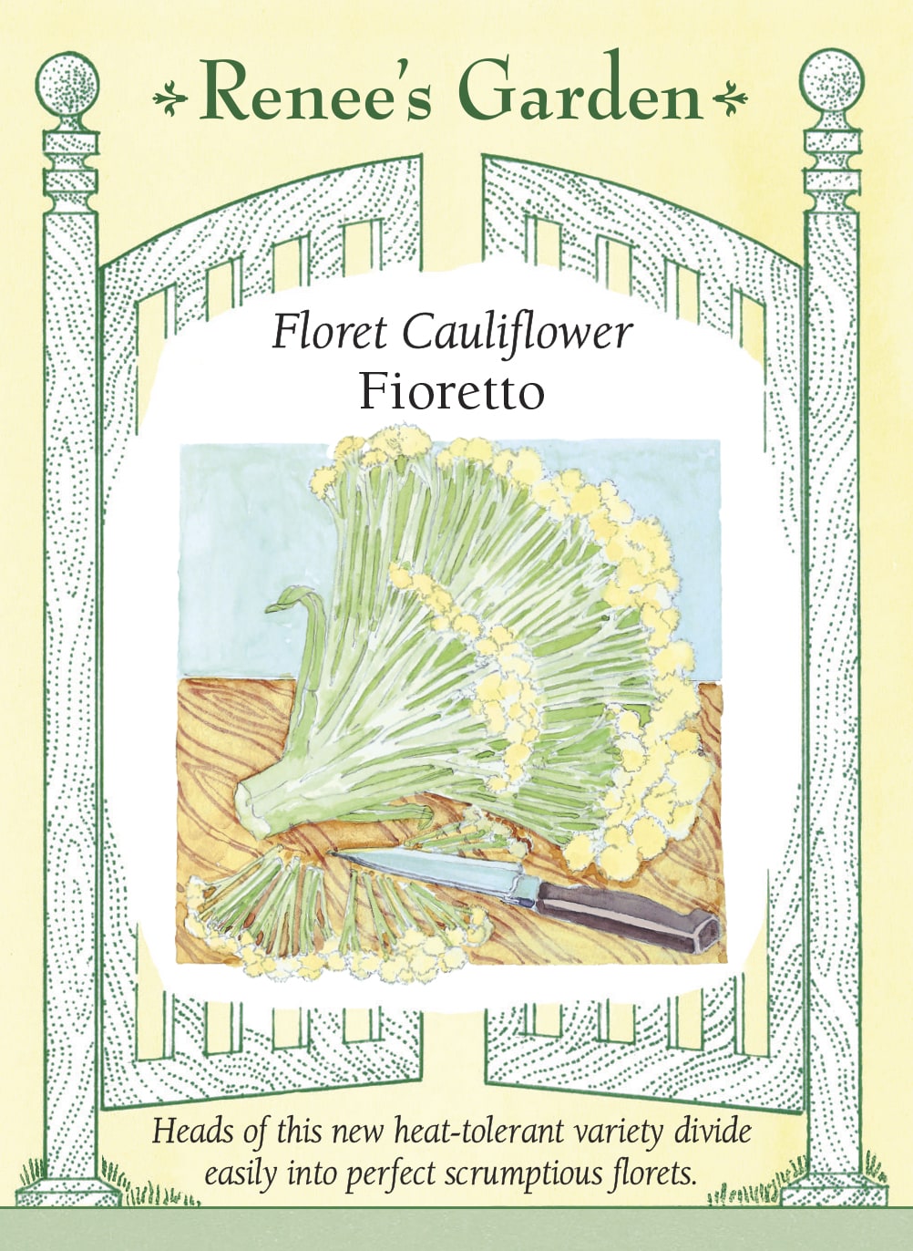 Fiore Rene 'Fioretto' Floret Cauliflower – Renee's Garden