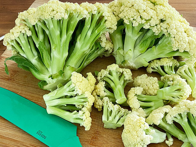 Fiore Rene 'Fioretto' Floret Cauliflower – Renee's Garden
