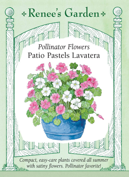 5694_Patio_Lavatera_2024g_c1fa