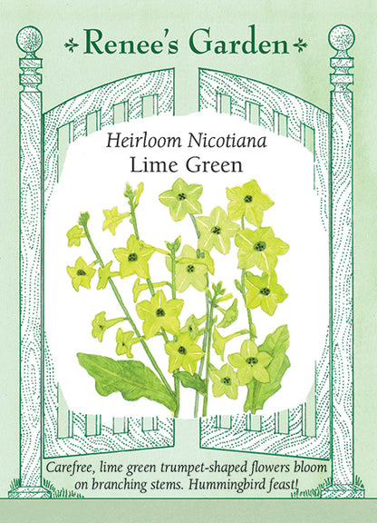 Nicotiana Lime Green