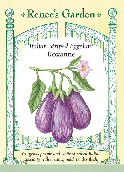 5711EggplantRoxanne2026d_grand