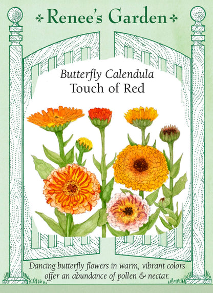 Butterfly Calendula - Touch of Red