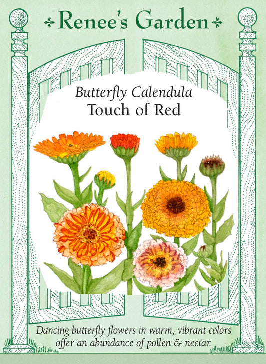 Butterfly Calendula - Touch of Red