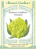 Romanesco Cauliflower - Veronica