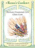 Heirloom Ornamental Corn - Glass Gem