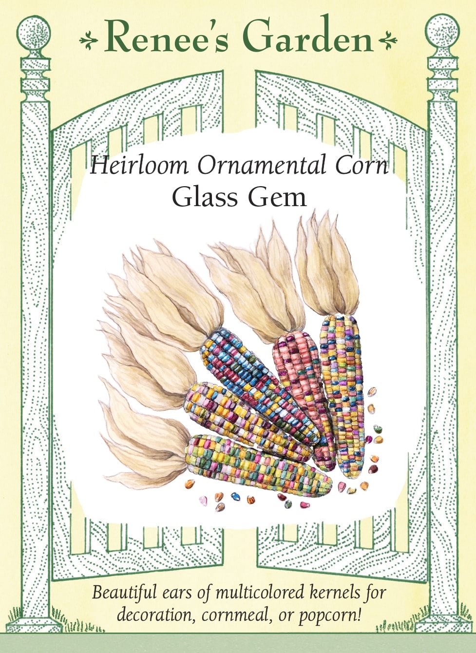 Heirloom Ornamental Corn - Glass Gem