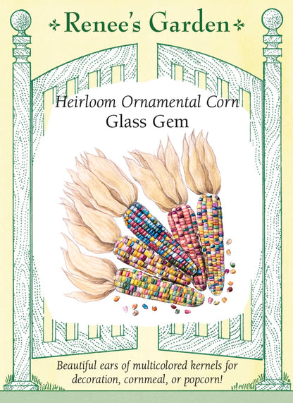 Heirloom Ornamental Corn - Glass Gem