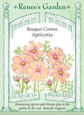 Bouquet Cosmos - Apricotta