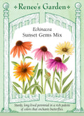 Echinacea - Sunset Gems Mix