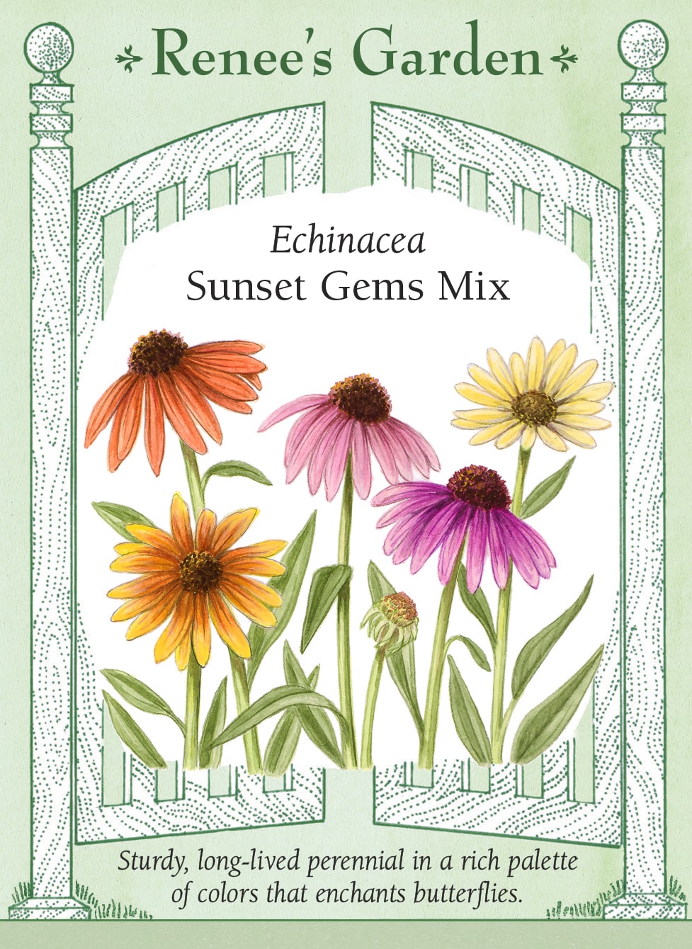 Echinacea - Sunset Gems Mix