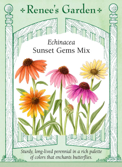 Echinacea - Sunset Gems Mix