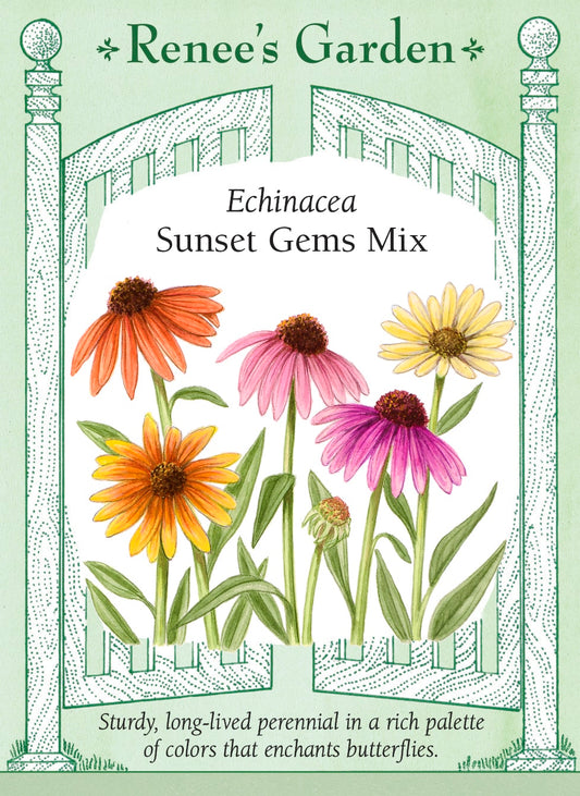 Echinacea - Sunset Gems Mix