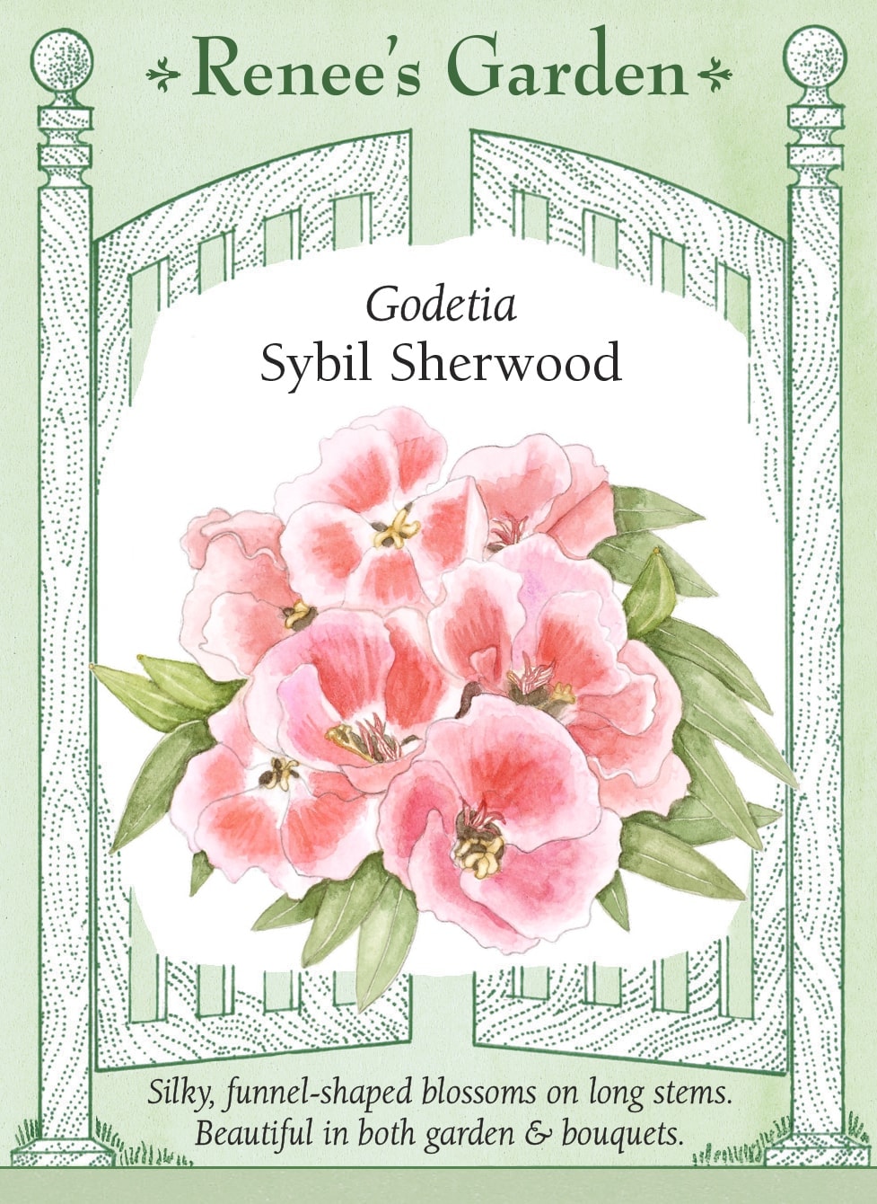Godetia - Sybil Sherwood