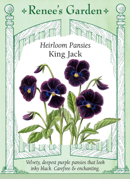 Heirloom Pansies - King Jack