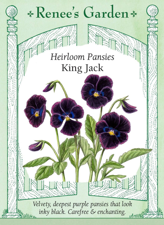 Heirloom Pansies - King Jack