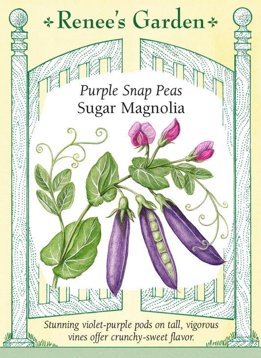 Purple Snap Peas - Sugar Magnolia