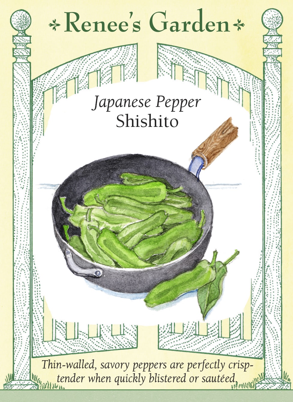 Japanese Pepper - Shishito