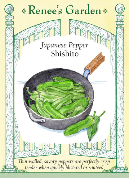 Japanese Pepper - Shishito