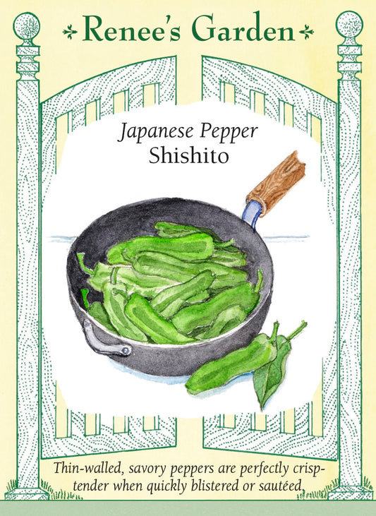Japanese Pepper - Shishito