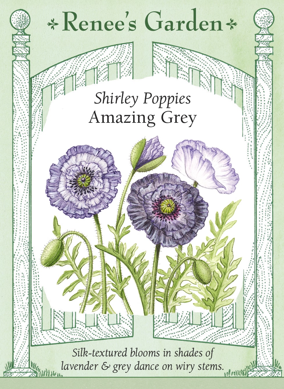 Shirley Poppies - Amazing Grey